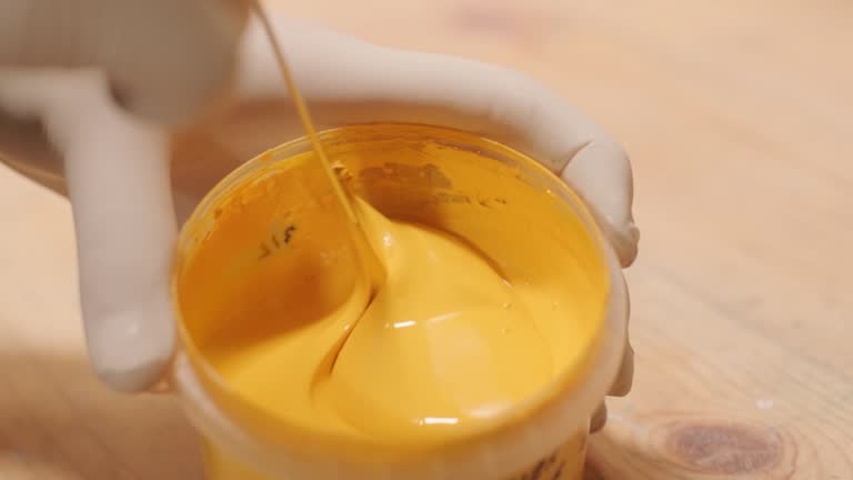 Reliable Hertford, NC Mold Removal Solutions